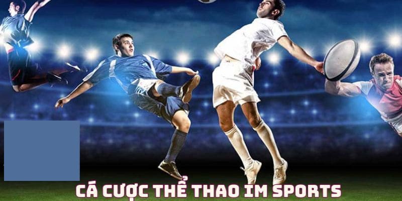 Giới thiệu về nhà phát hành im sports 88bet