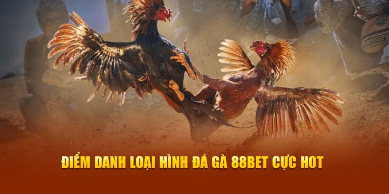 Các loại hình đá gà 88bet