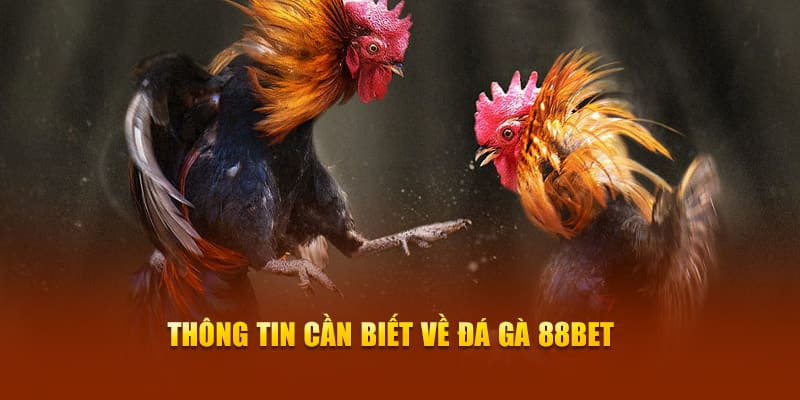 Giới thiệu sảnh đá gà 88bet